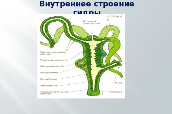 Кракен основная ссылка onion